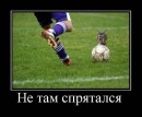 Сергей Лях фотография #20 (источник - https://vk.com/id14270446)