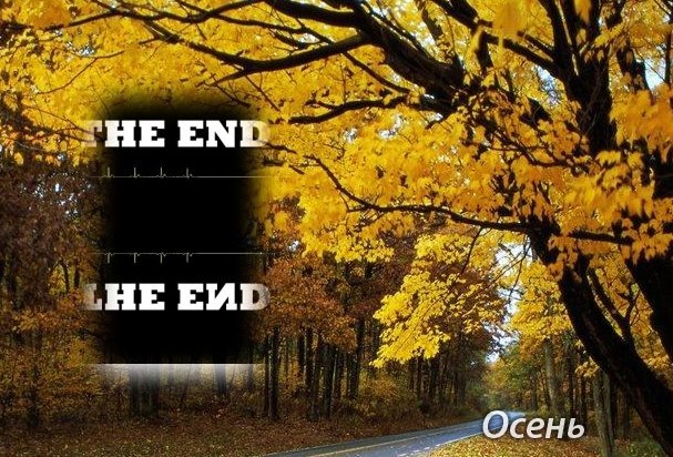 Dark Stranger фотография #35