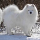 Фотография Ивановой Ольги