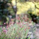 Фотография Волковой Эльги