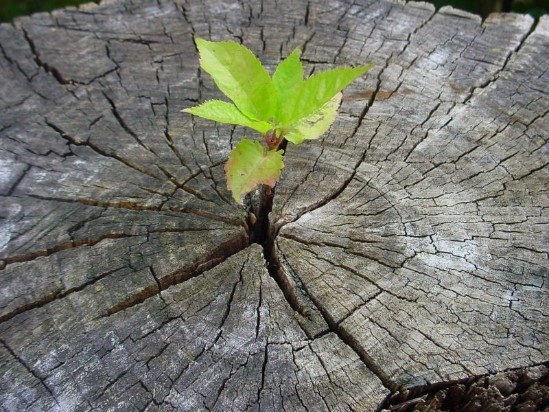 Виктор Ильичёв фотография #33