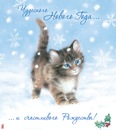 Юлія Фещенко фотография #14 (источник - https://vk.com/id141365546)