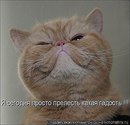 Фотография Ильинской Татьяны