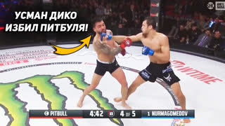 Уничтожил ЧЕМПИОНА! Полный бой - Усман Нурмагомедов vs Питбуль Фрейре. Обзор Белатор 288. Новости ММА